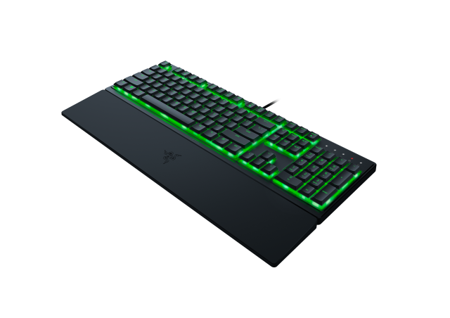 ornata v3 x 2022 render 2